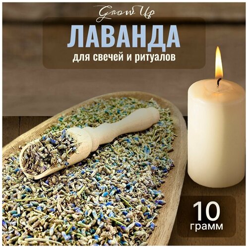 Сухая трава Лаванда (цветы) для свечей и ритуалов, 10 гр сухая трава василек цветы для свечей и ритуалов 5 гр