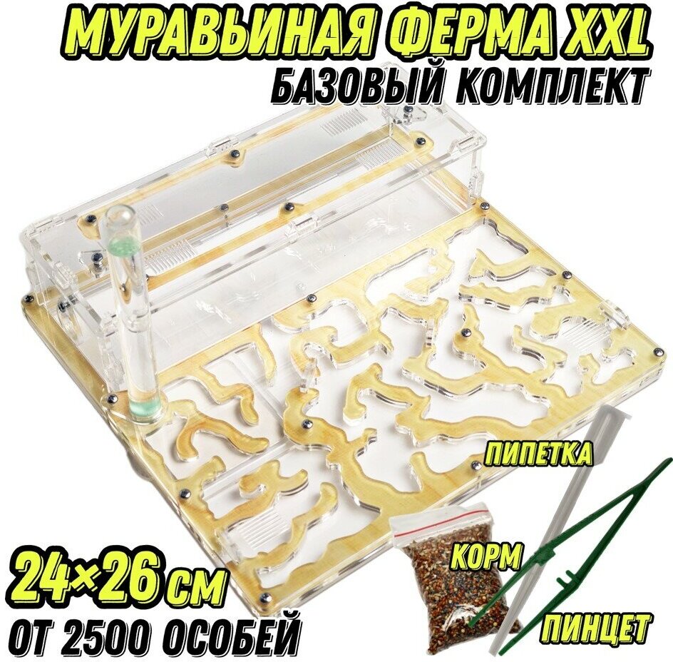 Большая муравьиная ферма "Древесная" XXL 26х24 Базовый комплект