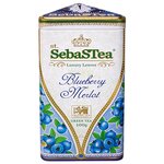 Чай зеленый SebaSTea Blueberry merlot подарочный набор - изображение