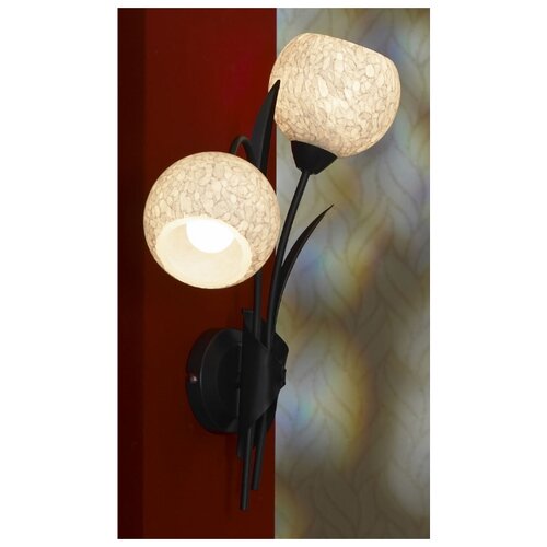 фото Бра (серия: lsf-6291) lsf-6291-02 lussole