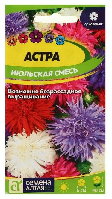 Семена цветов Астра "Июльская", смесь окрасок, 0,2 г