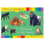 Моя первая книга фактов. Обезьяны и мартышки - изображение