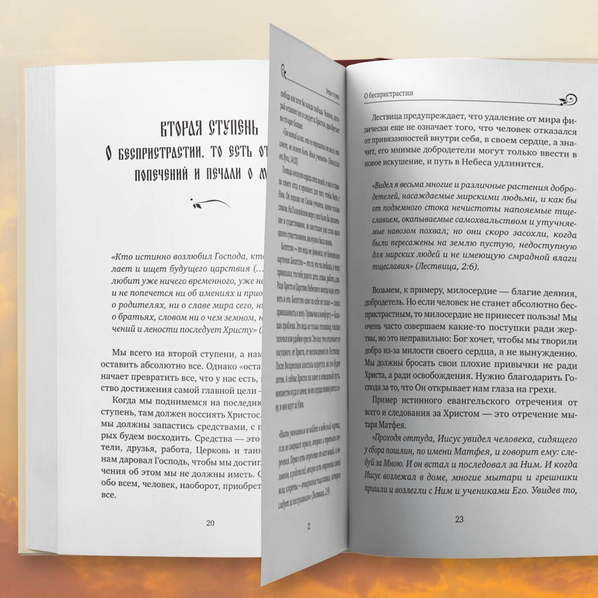 Лествица святого Иоанна Лествичника. Тридцать ступеней на пути к Богу - фото №6