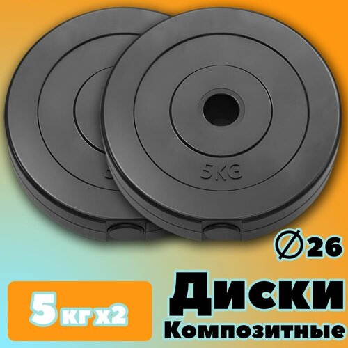 Комплект Дисков для гантелей и штанги PROFIGYM 26мм 5кг. / 2 шт.