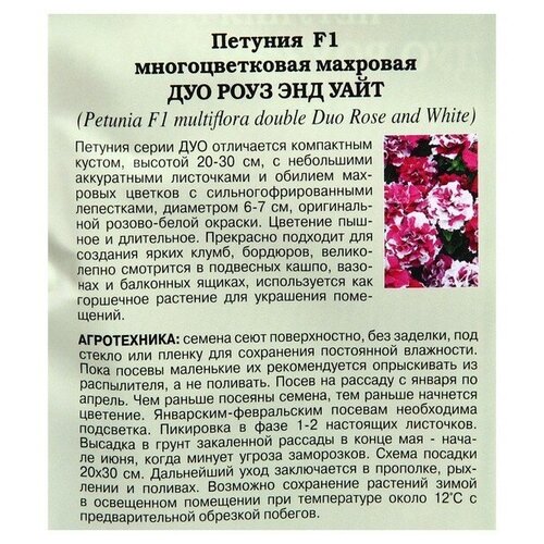 Семена ПОИСК Люкс Петуния махровая Дуо Роуз энд Вайт 10 шт. семена поиск люкс петуния махровая дуо роуз энд вайт 10 шт