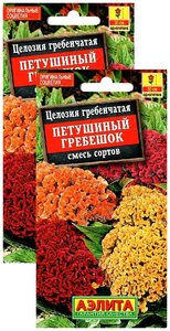 Целозия гребенчатая Петушиный гребешок, смесь сортов (0,2 г), 2 пакета