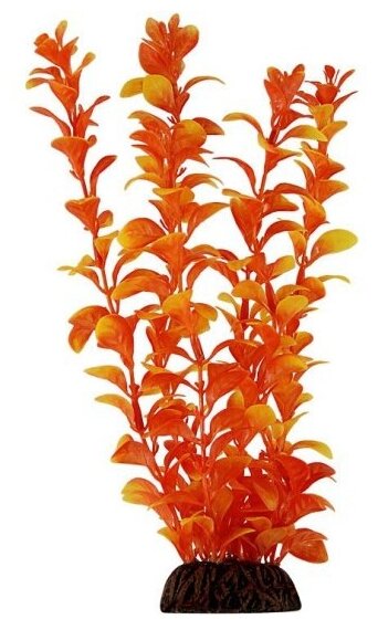 Растение Laguna "Людвигия" оранжевая, 550мм