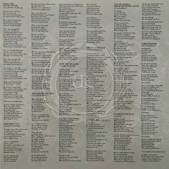 Whitesnake Whitesnake - Greatest Hits (limited, Colour, 2 LP) Warner Music - фото №9