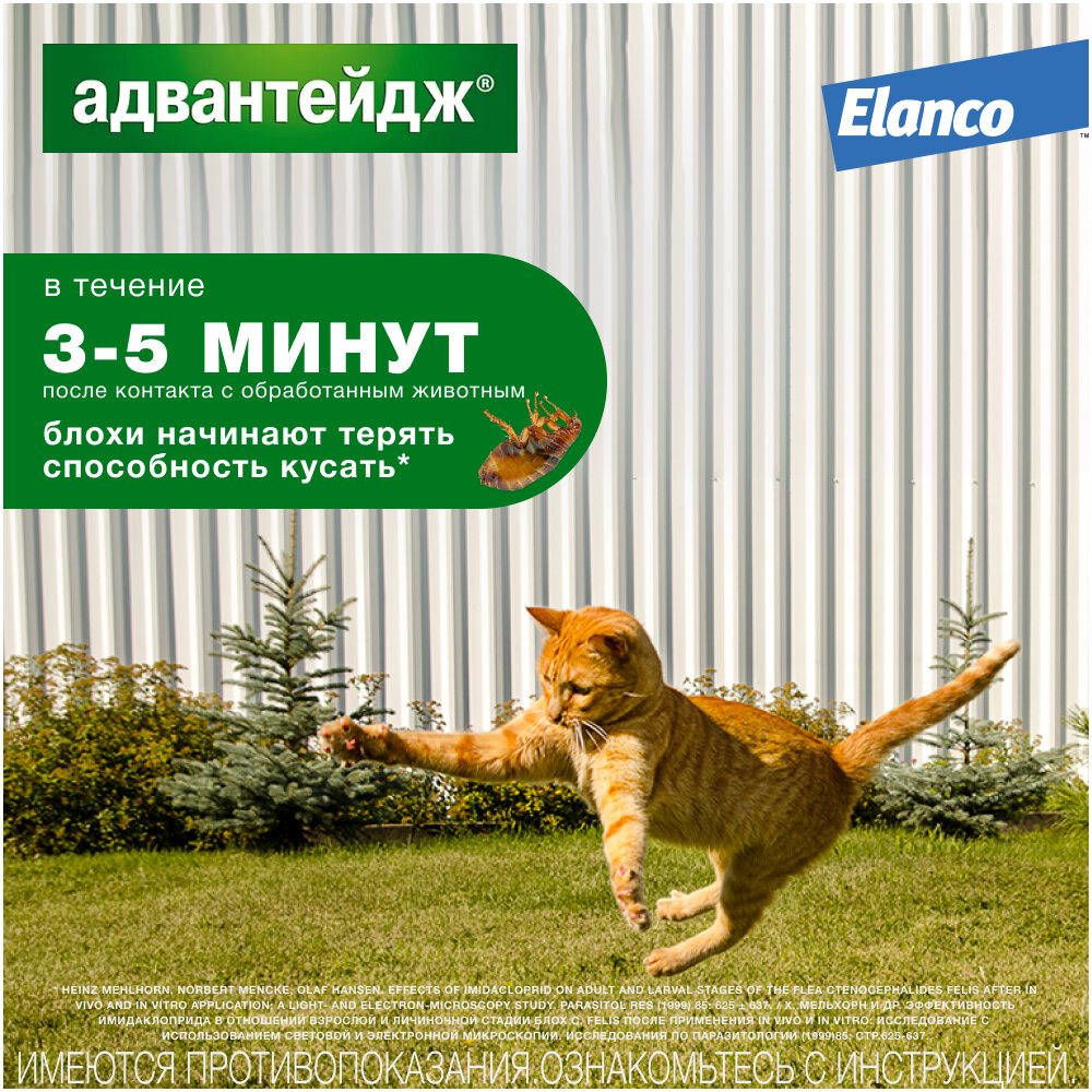 Адвантейдж® (Elanco) капли на холку от блох для кошек более 4 кг - 4 пипетки — фото 1