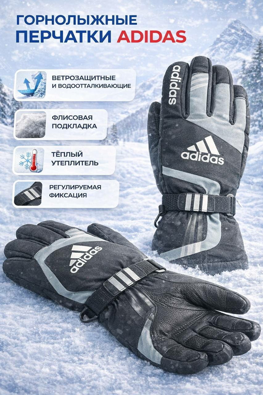 Перчатки горнолыжные ADIDAS Coach Glove 544720