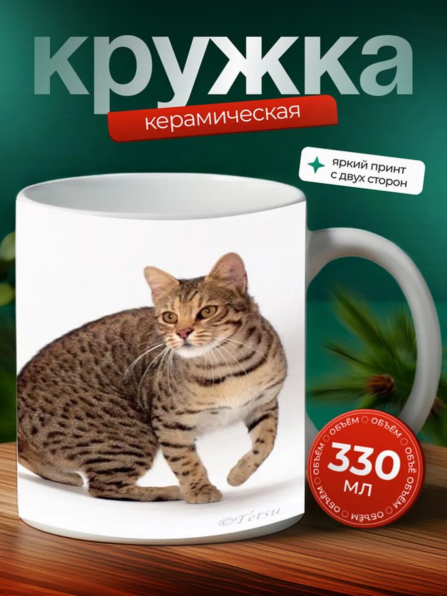 Кружка Жирафовый серенгети кот 3,