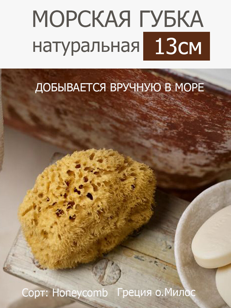 Губка морская натуральная Milos, HONEYCOMB, 13-14 см Греция (о. Милос)