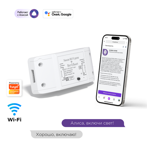 Умное реле с Wi-Fi, мониторинг потребления, Яндекс Алисой, Сбер, Google Home, Wireless Relay 16A
