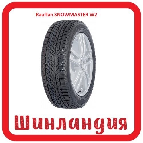 Rauffan SNOWMASTER W2 195/65 R15 95H