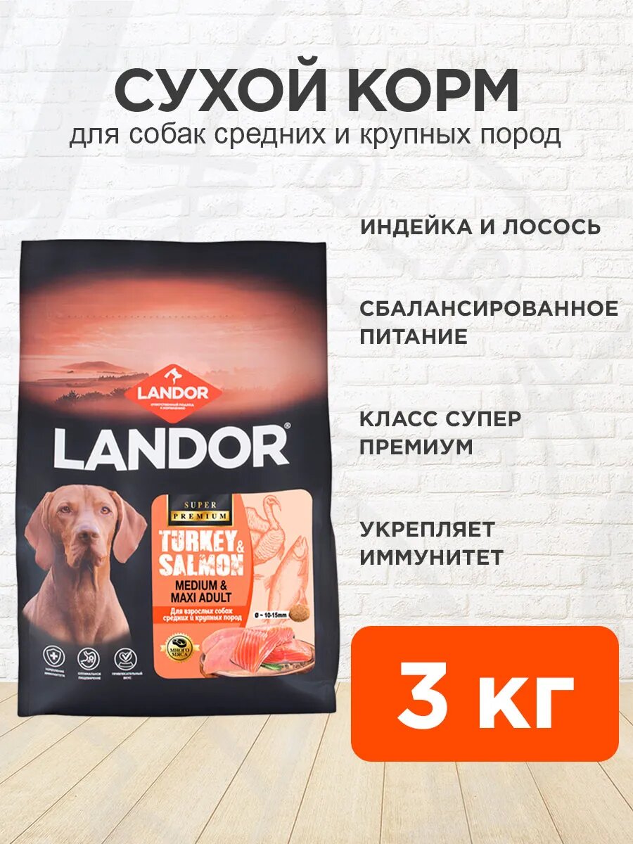 Корм сухой Landor Medium & Maxi Adult для взрослых собак средних и крупных пород, индейка, лосось, 3 кг