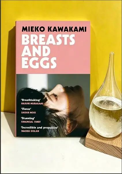 Breasts and Eggs by Mieko Kawakami Contemporary Japanese Fiction Paperback Book