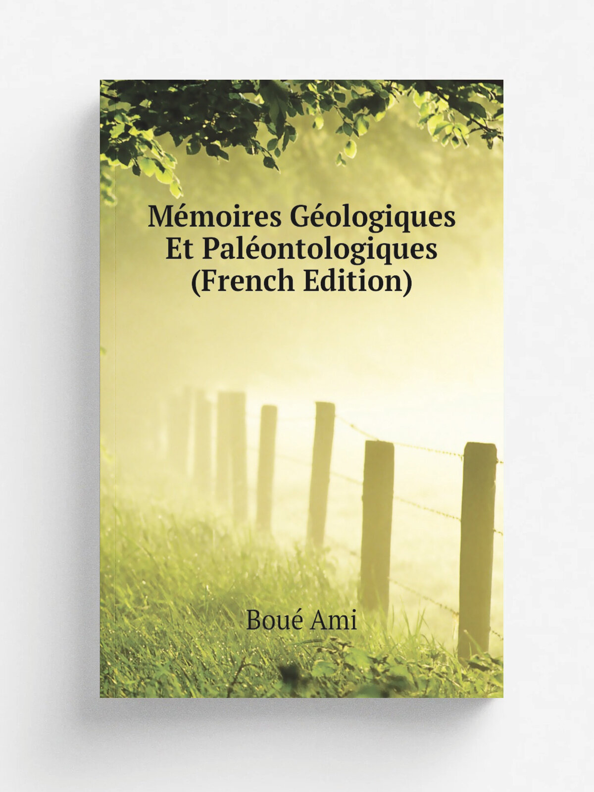 M.moires G.ologiques Et Pal.ontologiques (French Edition) | Bou. Ami | Репринт