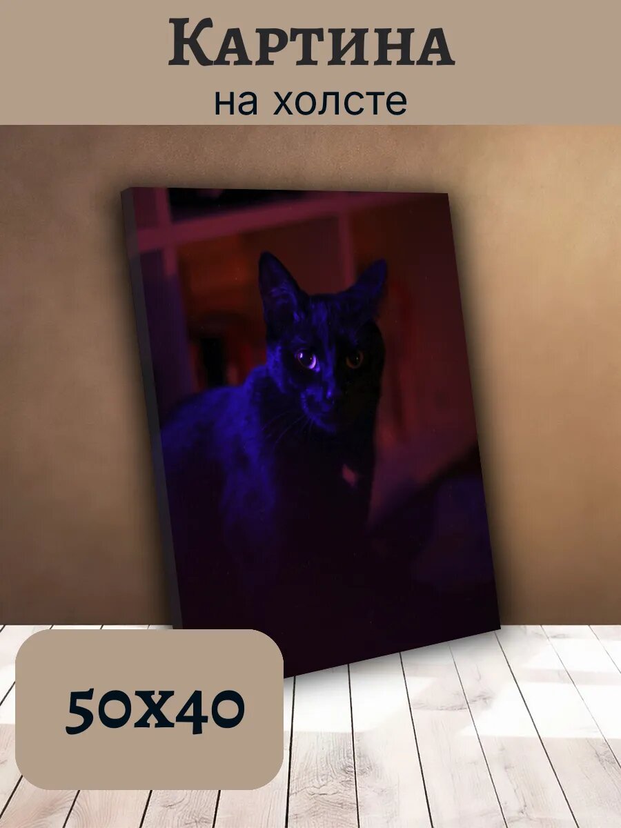 Картина Постер Кот Кошка Cat 40x50 неоновый портрет