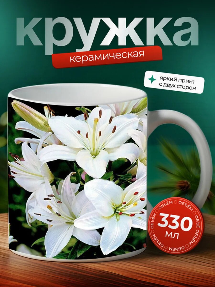 Кружка Морская лилия иглокожее 9,
