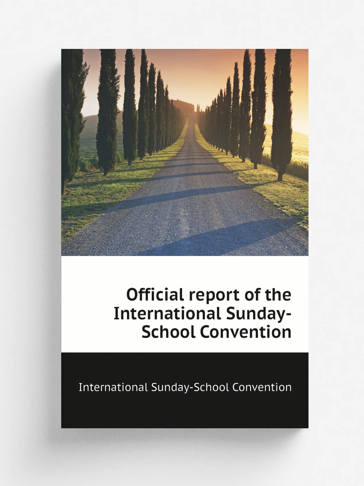 Official report of the International Sunday-School Convention | International Sunday-School Convention | Репринт