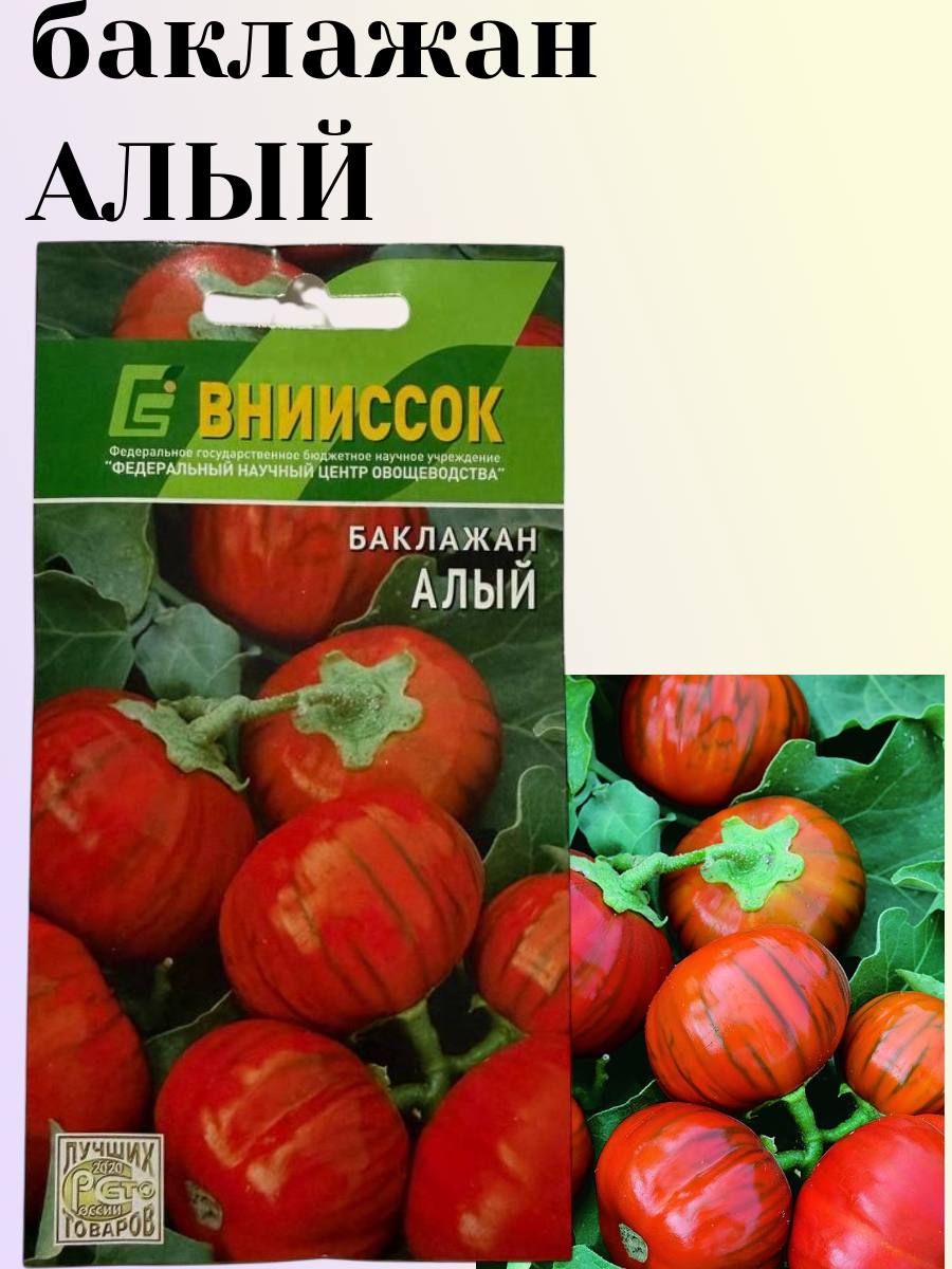 Баклажан Алый семена внииссок