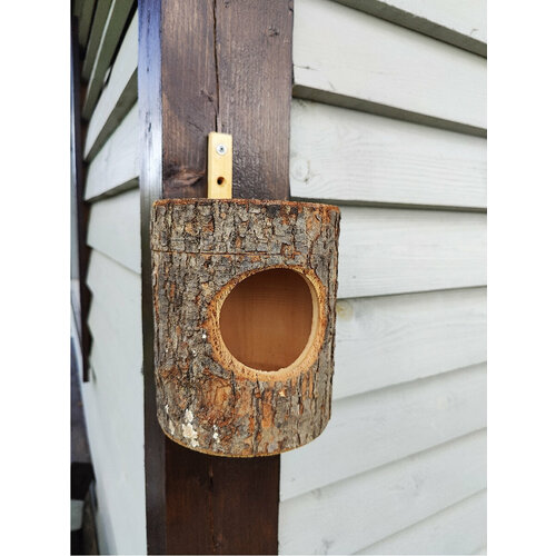 Кормушка дуплянка для птиц и белок уличная из массива липы настенная 2850₽
