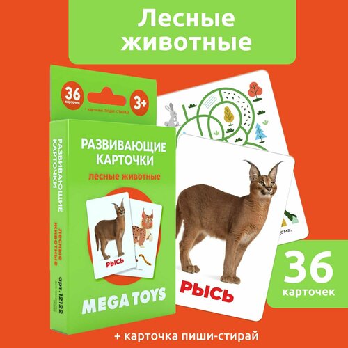 Карточки для малышей развивающие ламинированные обучающие MEGA TOYS Лесные животные развивающие игрушки для детей от 3 лет обучающие карточки для обучения английской пословицы idioms для детей 3 8 лет игрушки монтессори развивающие карточки