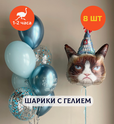 Изображение товара Шарики воздушные на день рождения, воздушные шары с гелием, шары с днем рождения, набор шаров для мужчины "Сердитый Мяу в колпаке" Купить Шары", 8 шт.