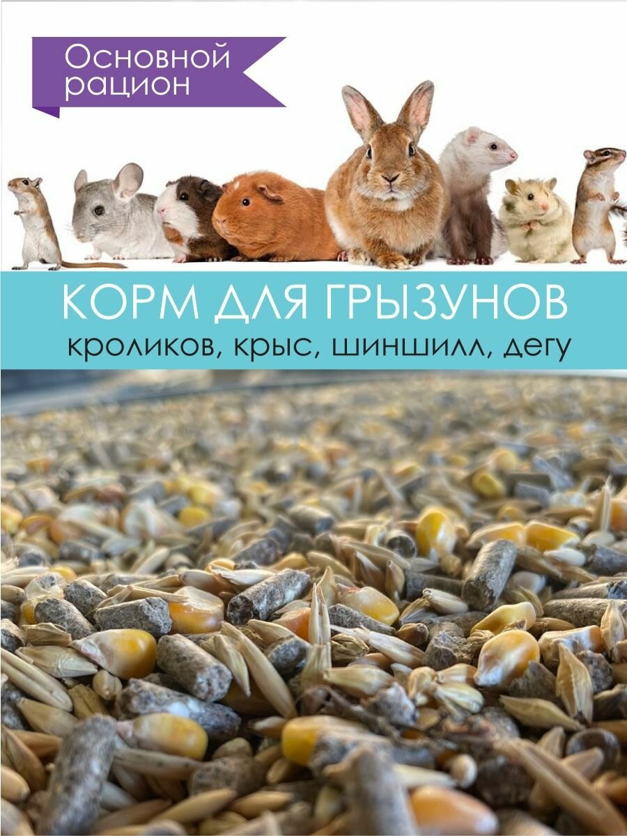 Корм для грызунов, кроликов, крыс, шиншил, дегу 5кг