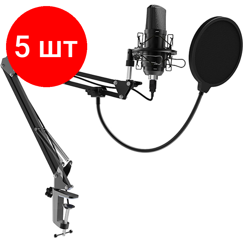 Комплект 5 штук, Микрофон Ritmix RDM-169 Black, cтудийный, конденсаторный, на стойке