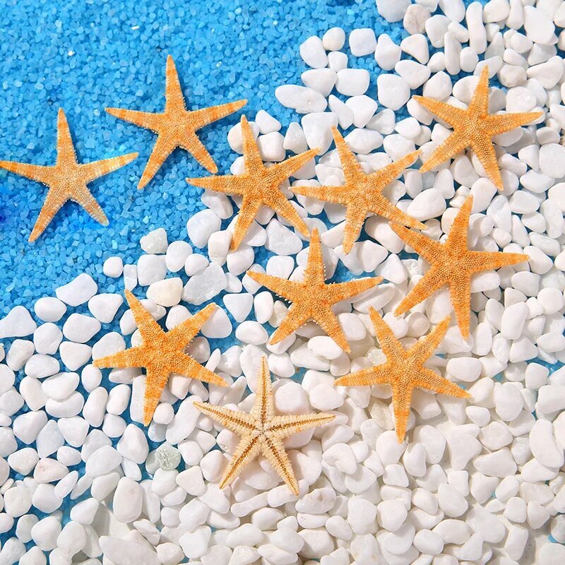 Морские звезды MICORSAX набор из 50 штук Real starfish 10pcs