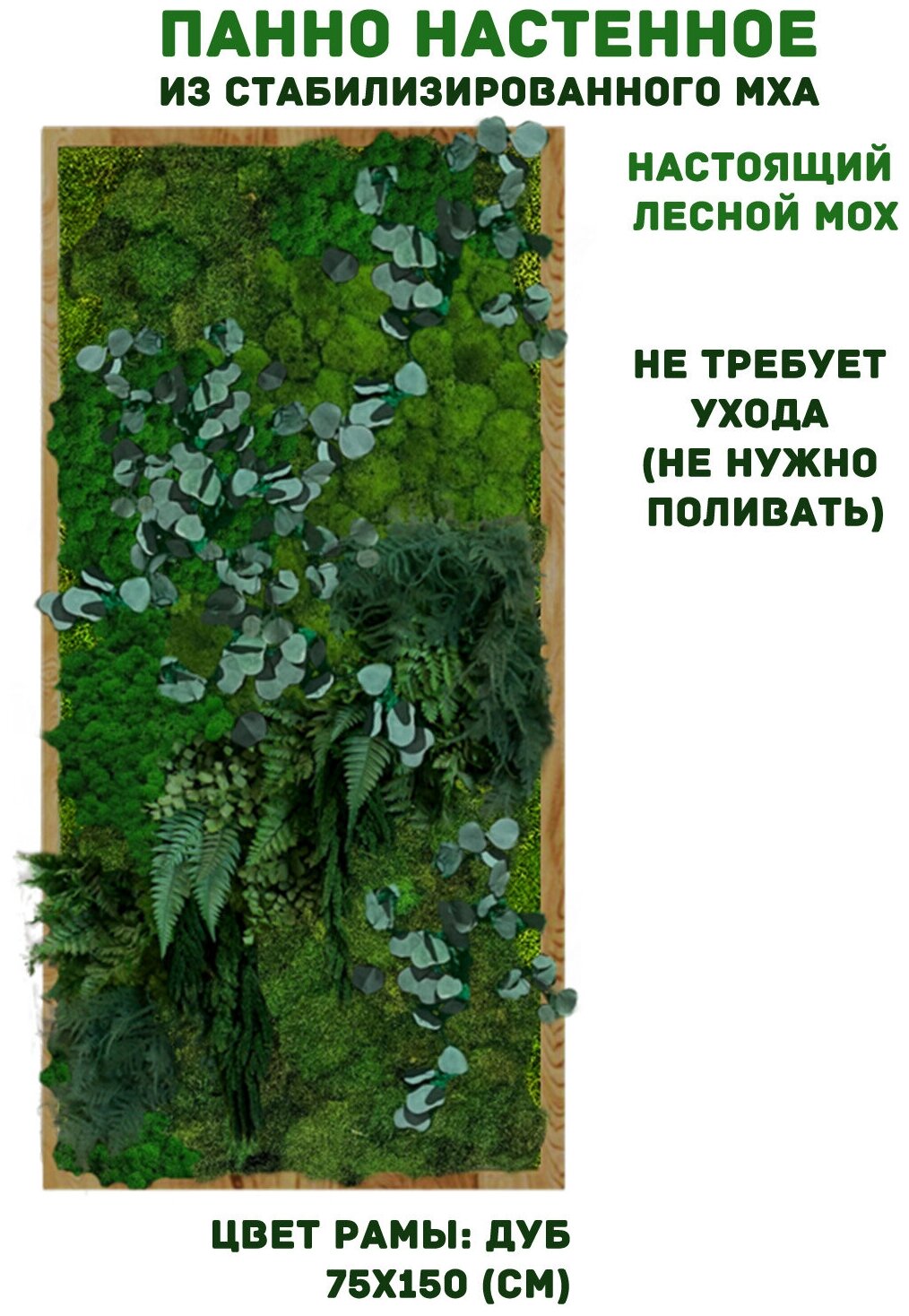 Панно из стабилизированно мха GardenGo в рамке цвета дуб, 75х150 см, цвет мха зеленый