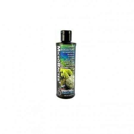 Добавка биокультуры Brightwell Aquatics MicroBacter7, 1л