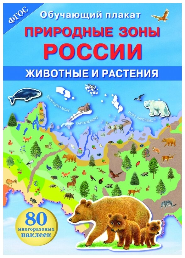 Природные зоны России. Животные и растения. - фото №1