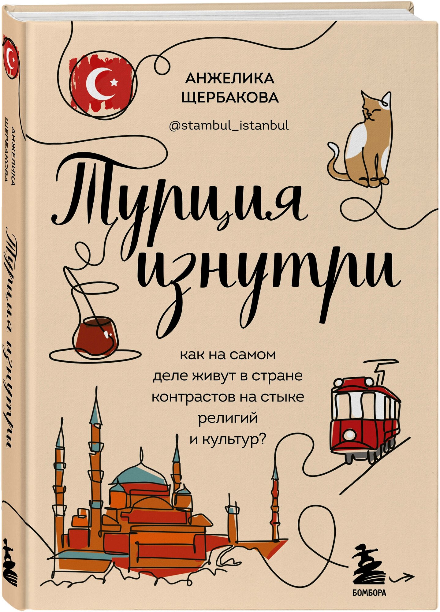Щербакова А. Н. Турция изнутри. Как на самом деле живут в стране контрастов на стыке религий и культур? (дополненное издание)