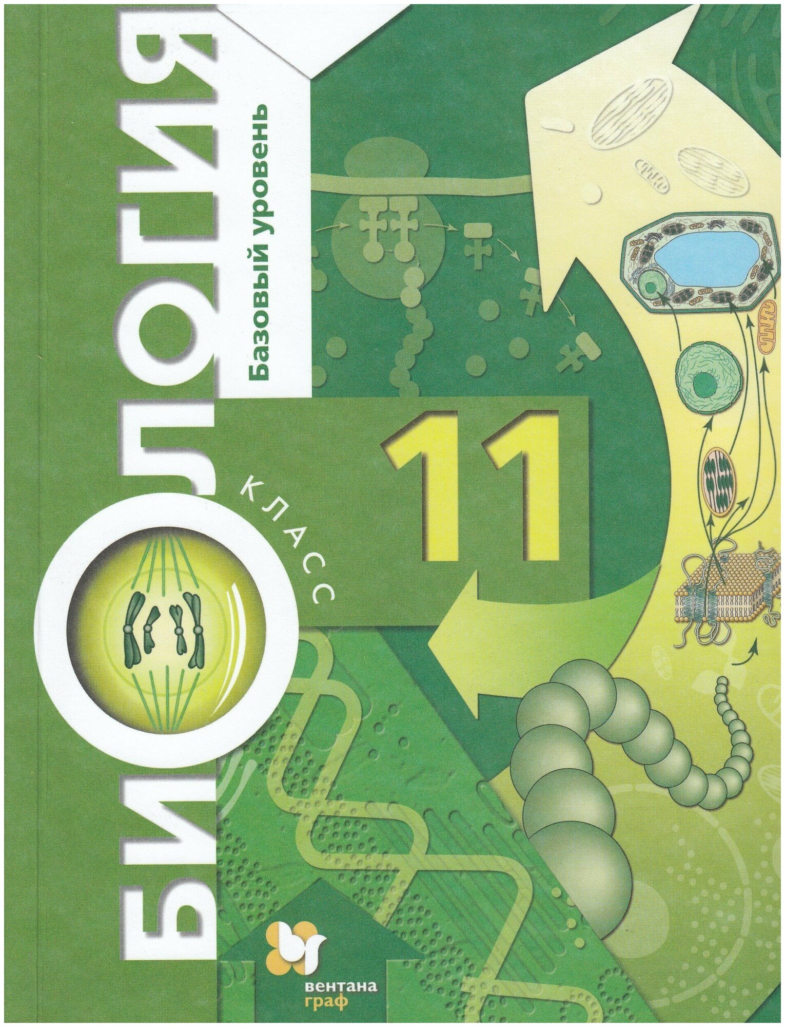 Биология. 11 класс. Базовый уровень. Учебник / Пономарева И. Н, Корнилова О. А, Лощилина Т. Е. / 2021