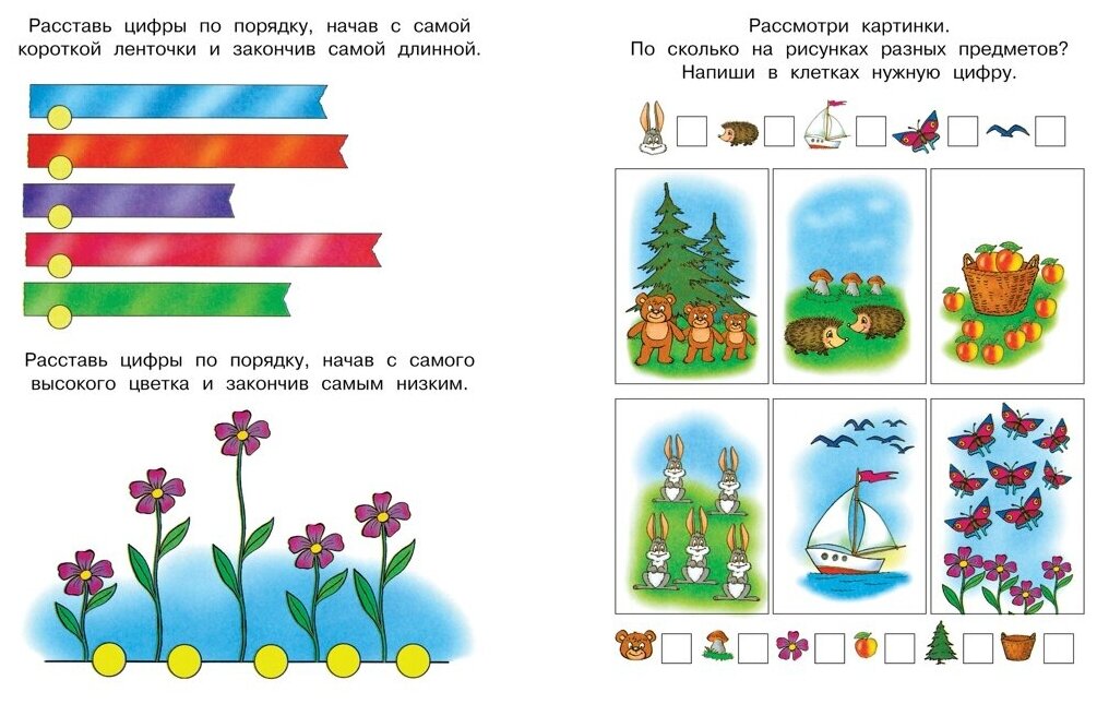 Книга Цифры и числа (5-6 лет)