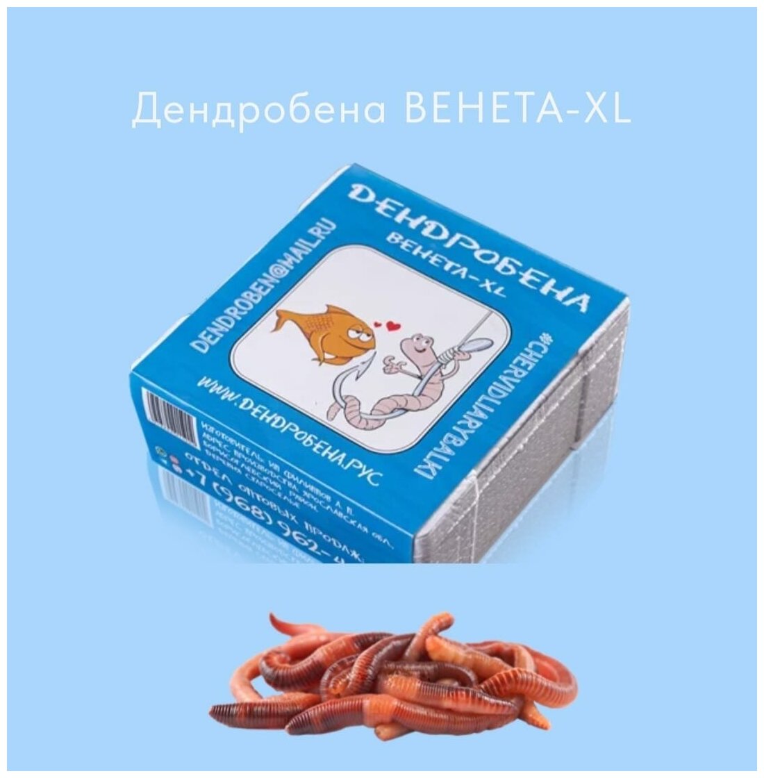 Дендробена XL