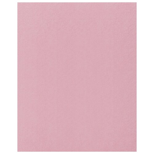 Купить Фетр Rayher моделируемый, размер листа 30 х 45 см (формат А3), толщина 1 мм, цвет: розовый