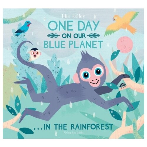 One Day On Our Blue Planet. In The Rainforest