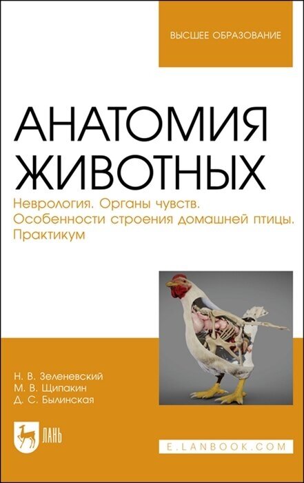 Анатомия животных Неврология Органы чувств Особенности строения домашней птицы Практикум Учебное пособие для вузов - фото №1