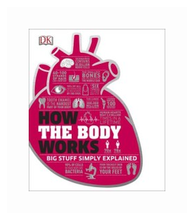 How the Body Works (Dorling Kindersley) - фото №1