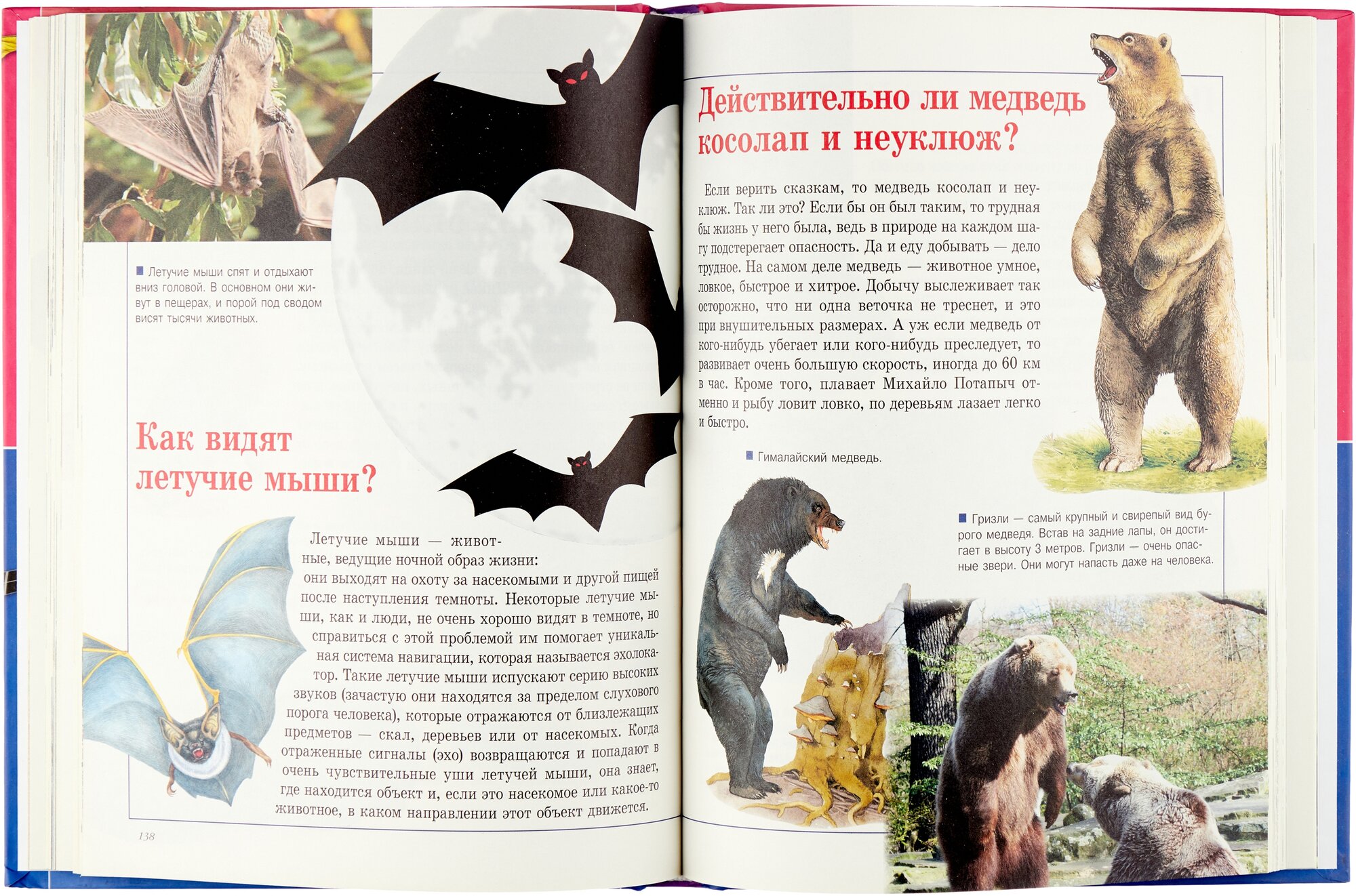 Почему и отчего (Чайка Елена Степановна) - фото №2