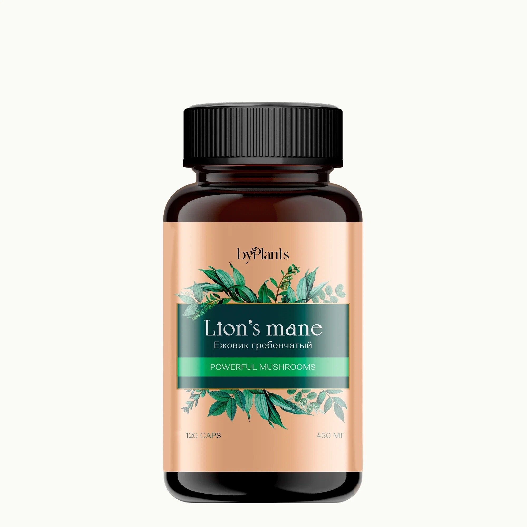 Пищевой продукт ByPlants Lion's mane (ежевик гребенчатый), 0.6 г, 120 шт.