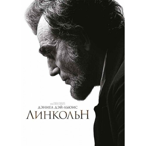 вегелиус якоб правда о салли джонс DVD. Линкольн (региональное издание)