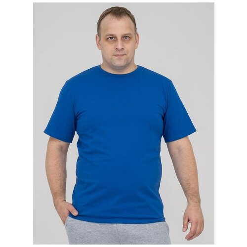 фото Футболка мужская из хлопка / цвет синий / с круглым вырезом горловины argnord