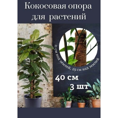 Кокосовая опора держатель для растений в кокосовой оплетке , 40 см , 3 шт кокосовая опора держатель для растений в кокосовой оплетке 40 см 1 шт