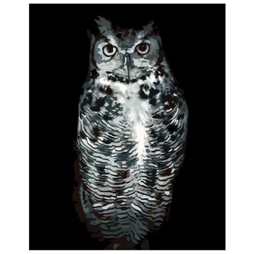 Картина по номерам Чёрно-белая сова, 40x50 см картина по номерам белая ваза с маками 40x50 см