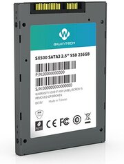 Диск SSD 2,5" 256 Gb BiwinTech SX500 (SATA3, up to 560/520MBs, 3D NAND, 140TBW)