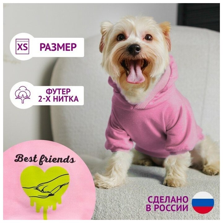 Толстовка Best Friends для собак (футер) размер XS (ДС 20 ОШ 24-25 ОГ 32-36) розовая